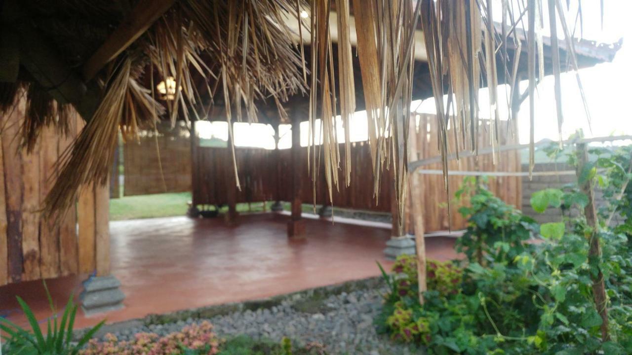 Bali Tiger Hideaway Hotel Pulukan Exterior foto